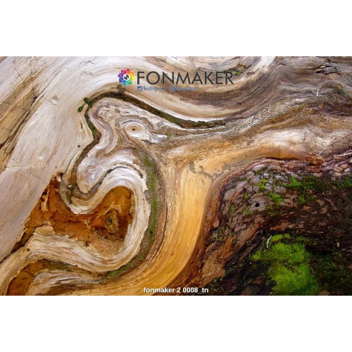  Фотофон древесная кора для фотосъемки в Инстаграм fonmaker 2 0008