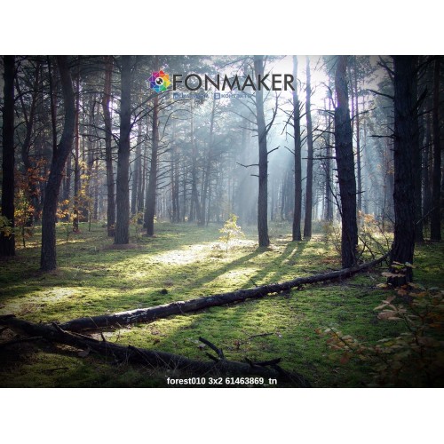 Фотофон Лесная Тишина для фотосъемки FONMAKER