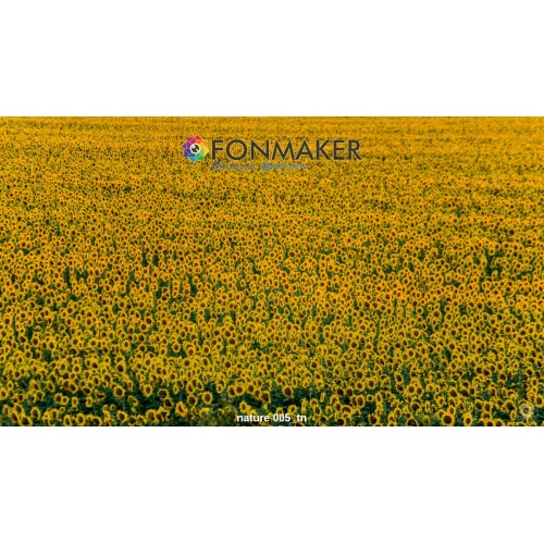 Фотофон Равнина для фотосъемки FONMAKER