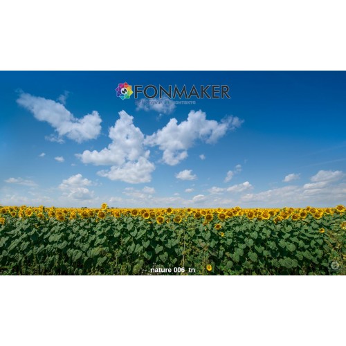 Фотофон Заповедник для фотосъемки FONMAKER