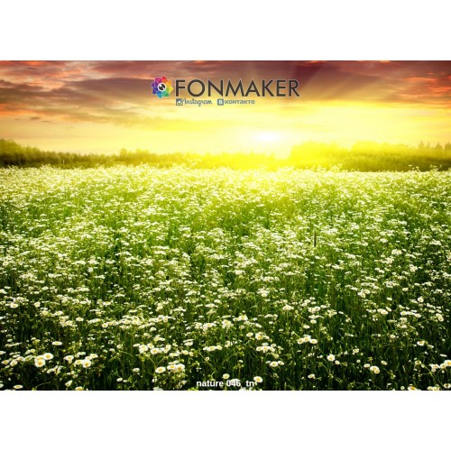Фотофон На рассвете для фотосъемки FONMAKER
