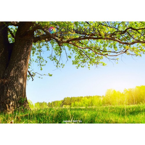 Фотофон Прованс для фотосъемки FONMAKER