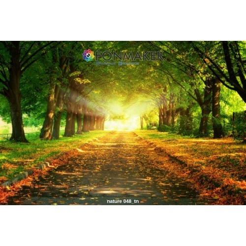 Фотофон Сказочная Аллея для фотосъемки FONMAKER