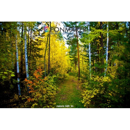 Фотофон Лесная Опушка для фотосъемки FONMAKER