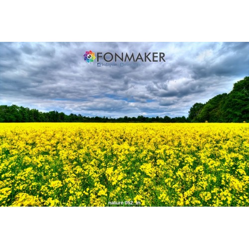 Фотофон Цветочное Поле для фотосъемки FONMAKER