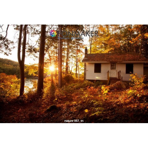 Фотофон Хижина Лесника для фотосъемки FONMAKER