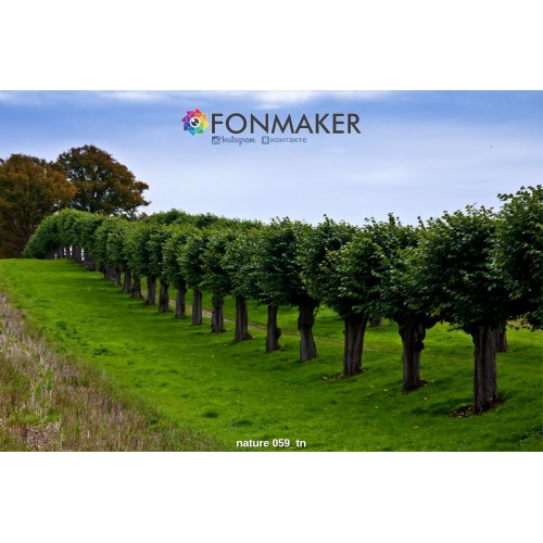 Фотофон Китайский Заповедник для фотосъемки FONMAKER