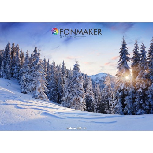 Фотофон Зимний Мороз для фотосъемки FONMAKER