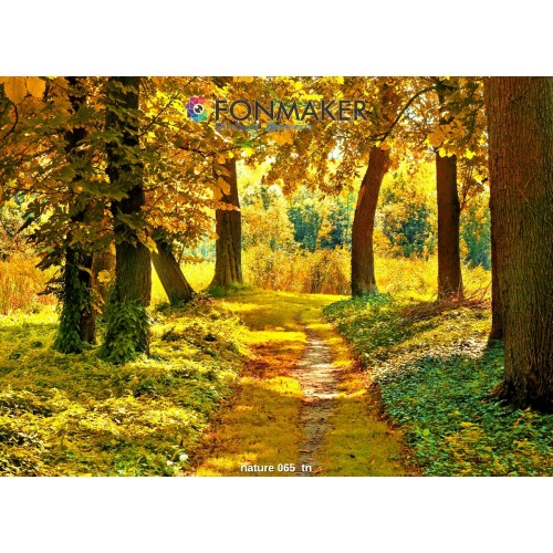 Фотофон Золотистая Аллея для фотосъемки FONMAKER