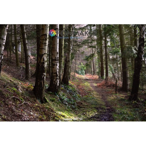 Фотофон Таинственный Лес для фотосъемки FONMAKER