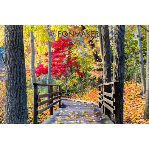 Фотофон Тонкинский залив для фотосъемки FONMAKER