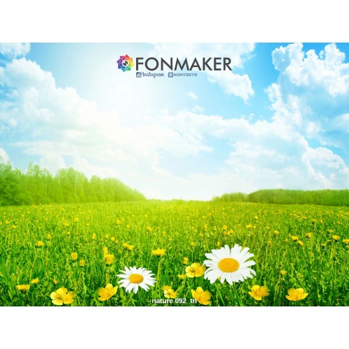 Фотофон Ромашковый Луг для фотосъемки FONMAKER