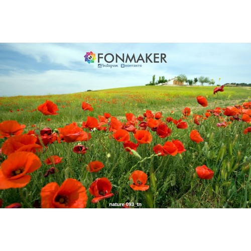 Фотофон Маковый Луг для фотосъемки FONMAKER