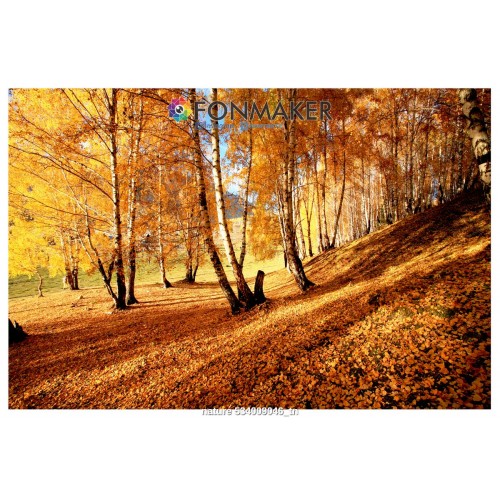 Фотофон Осенний Лес для фотосъемки FONMAKER