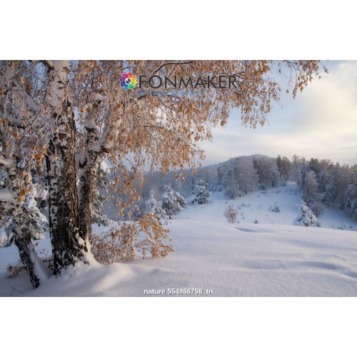 Фотофон Метель для фотосъемки FONMAKER