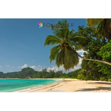 Фотофон пальма на Острове для фотосъемки FONMAKER