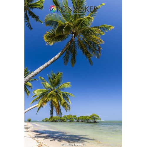 Фотофон Тихоокеанское побережье для фотосъемки FONMAKER