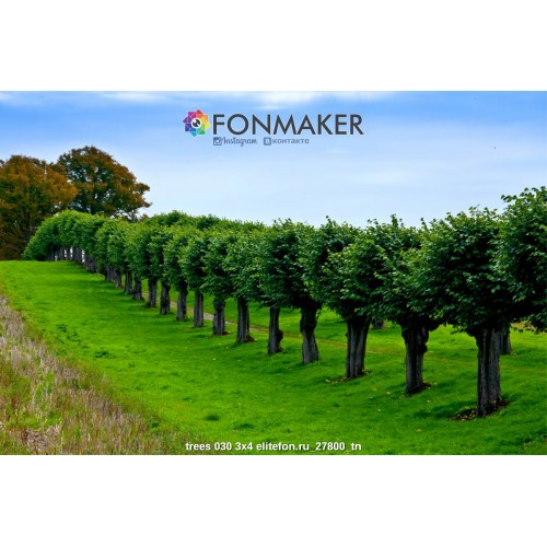 Фотофон Заповедник для фотосъемки FONMAKER