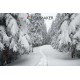 Фотофон Снежный Лес для фотосъемки FONMAKER — НОВОГОДНИЙ 041