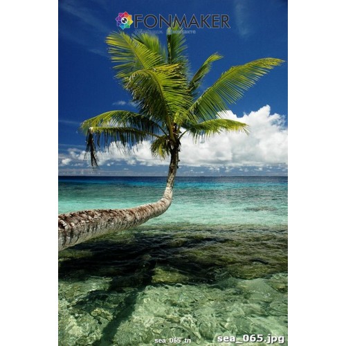 Фотофон Тихий Океан для фотосъемки FONMAKER