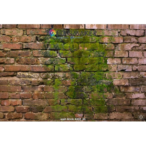 Фотофон Модест для фотосъемки FONMAKER