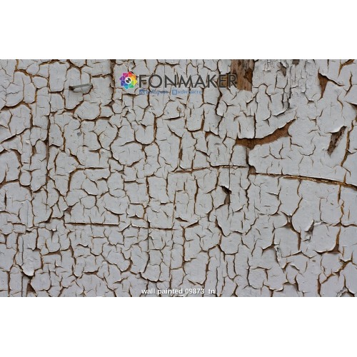 Фотофон Тибо для фотосъемки FONMAKER