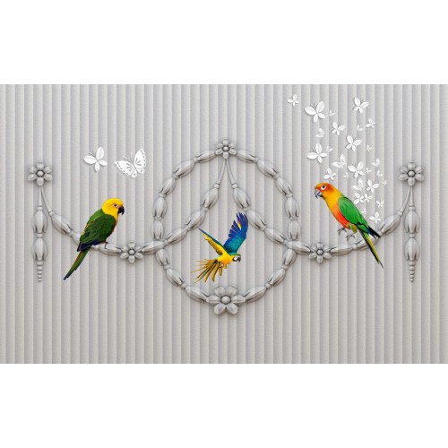 Радужные попугаи