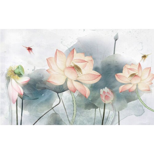 Лотосы в водной глади