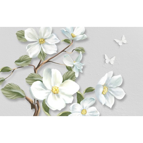 Белые цветы шиповника