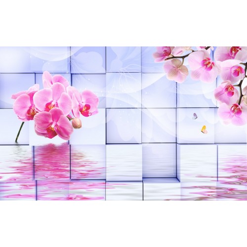 Отражение розовой орхидеи