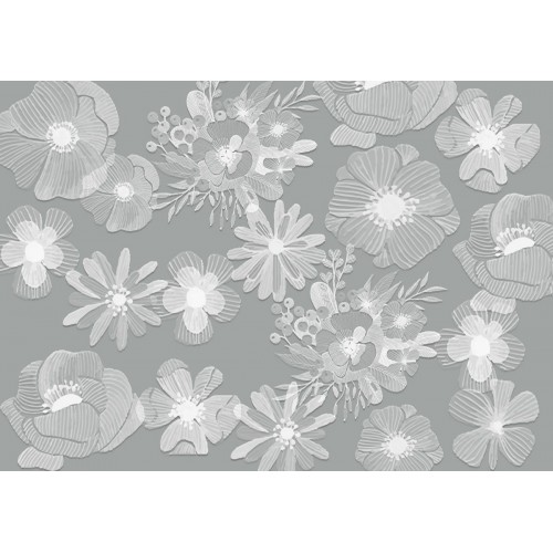 Белые маки в графите