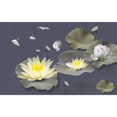 Изумительные кремовые лотосы