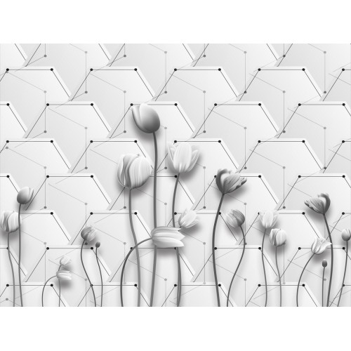 Графические тюльпаны