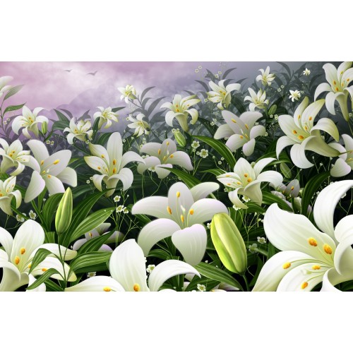 Волшебная поляна лилий