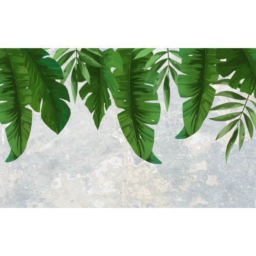 Фреска Джунгли зовут