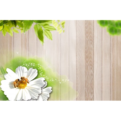 Мгновения лета