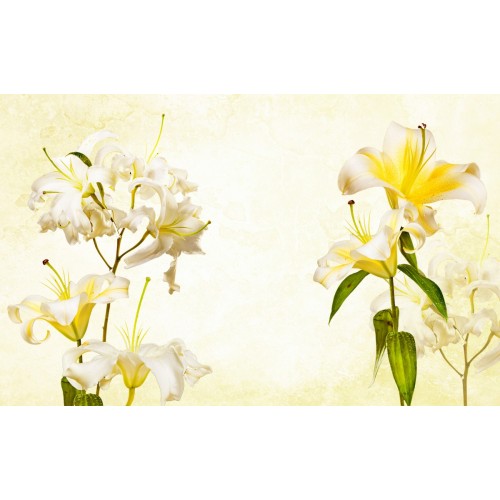 Фреска Лилии в золотых лучах солнца