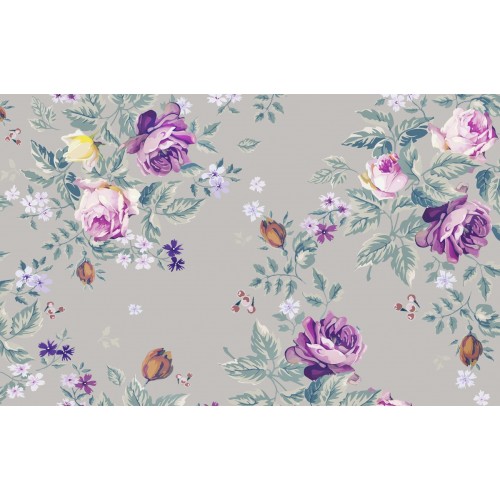 Лиловый прованс