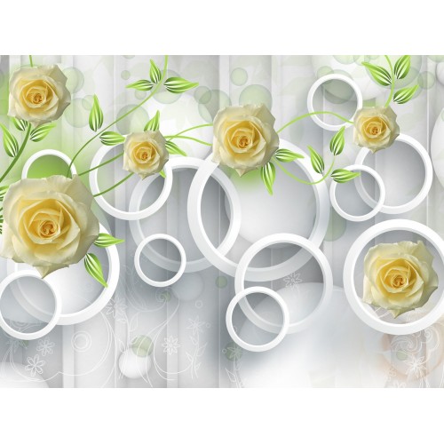 Кремовые розы в серебрянных кольцах