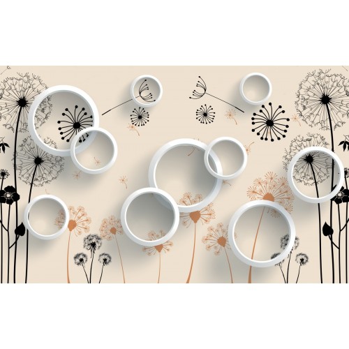 Красивые одуванчики