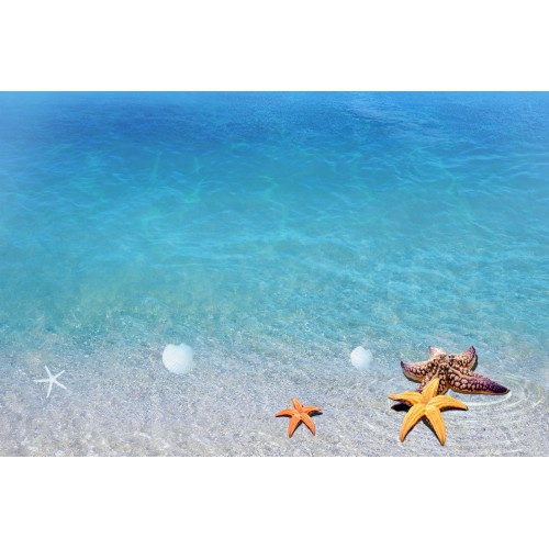 Фреска морская звезда