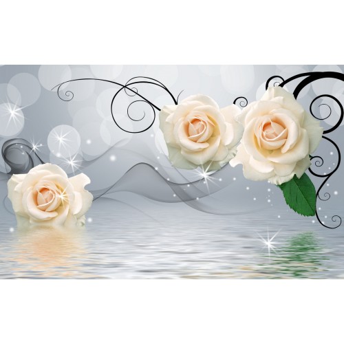 Кустовая белая роза над водой