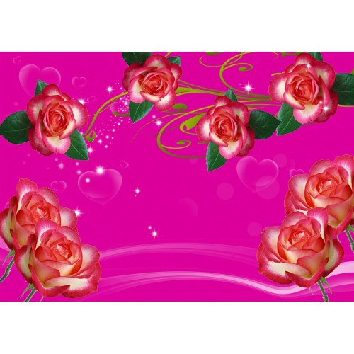 Кустовая роза в малиновом фоне