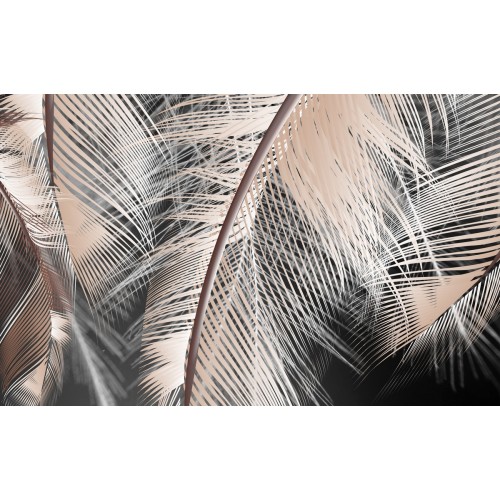 Изящество невесомости