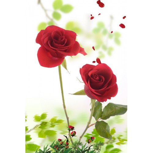 Фреска Розы