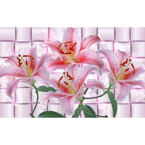 Нежные розовые лилии