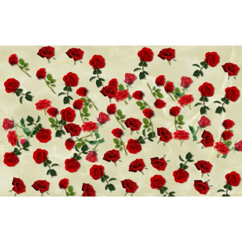 Миллион аллых роз