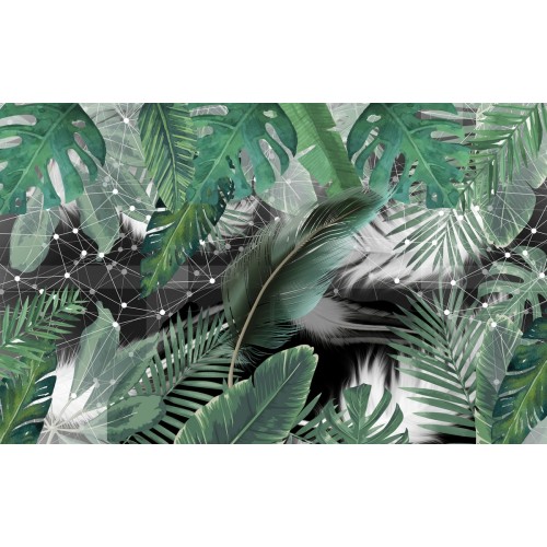 Тропические созвездия