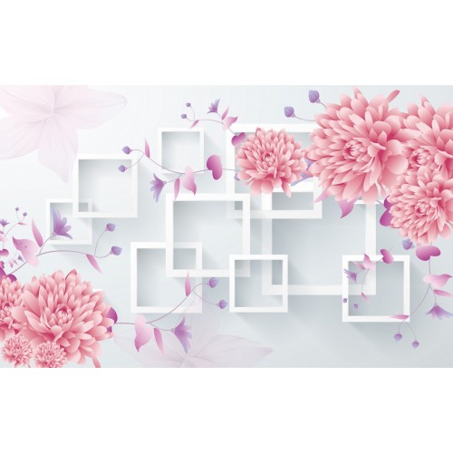 Очертания в астрах