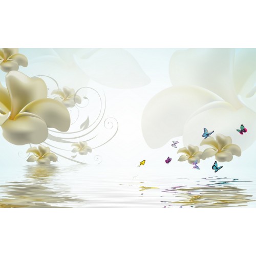 Невесомость